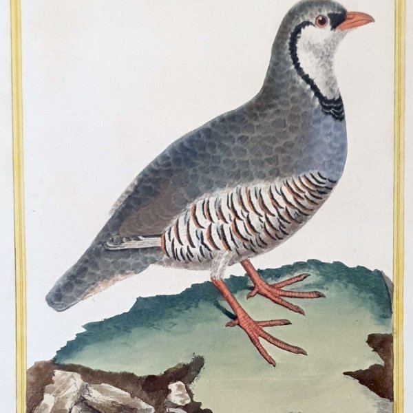 MARTINET, François Nicolas