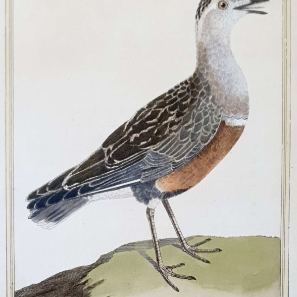 MARTINET, François Nicolas