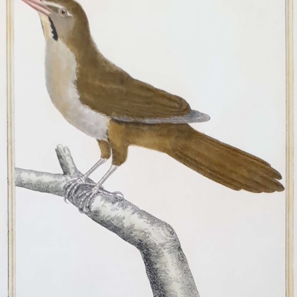 MARTINET, François Nicolas