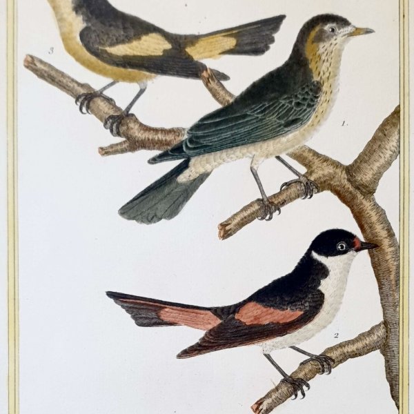 MARTINET, François Nicolas