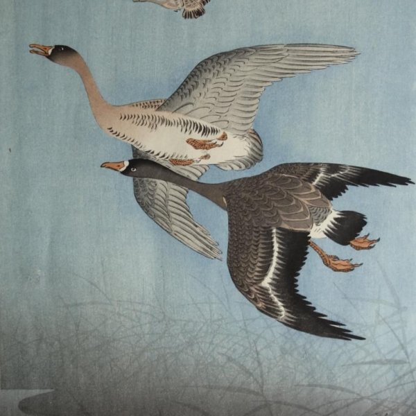 KOSON Ohara, dit aussi SHOSON ou HOSON