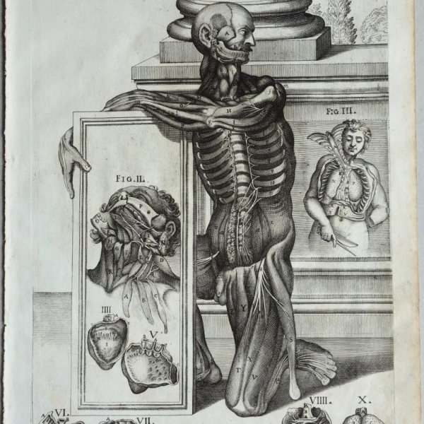 CORTONE Pierre de (d'après)