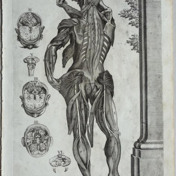 CORTONE Pierre de (d'après)