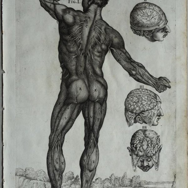 CORTONE Pierre de (d'après)