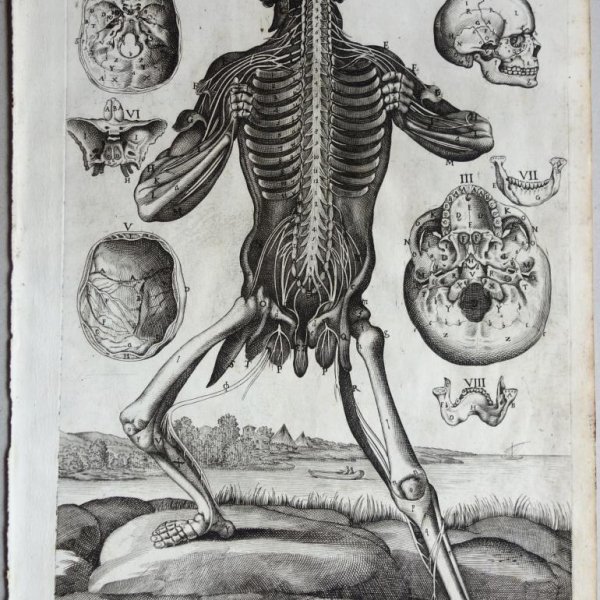 CORTONE Pierre de (d'après)