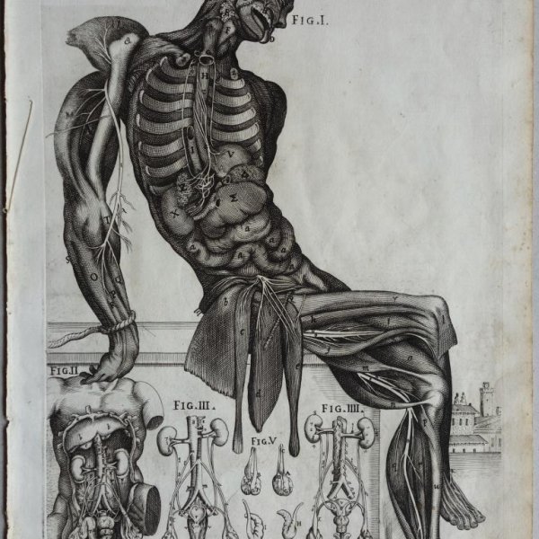 CORTONE Pierre de (d'après)