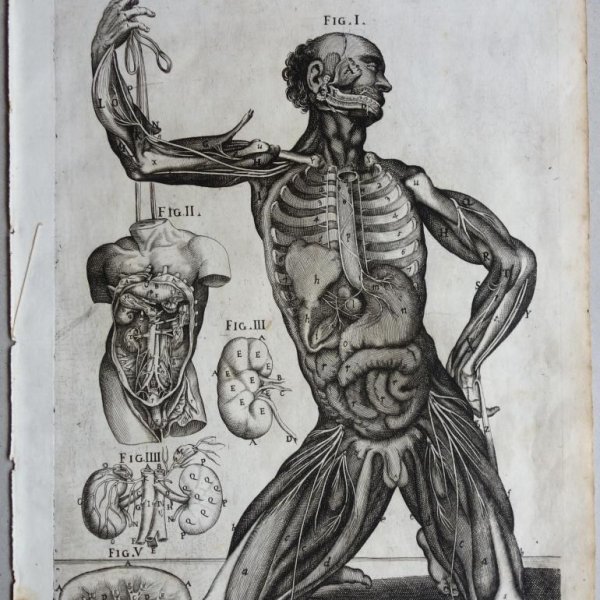 CORTONE Pierre de (d'après)