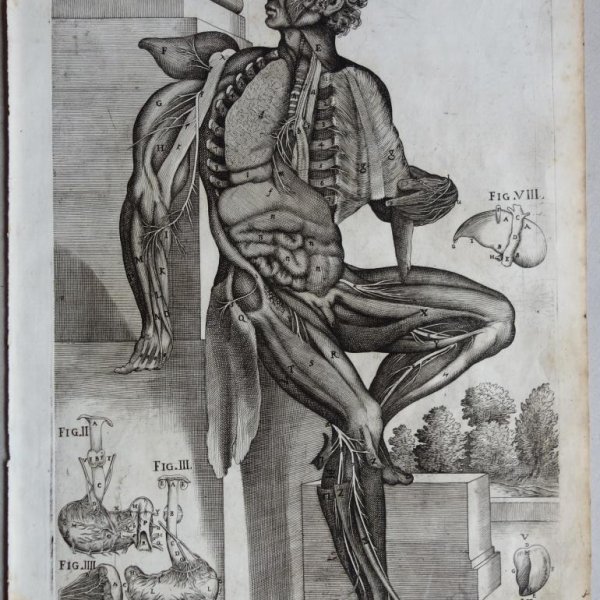 CORTONE Pierre de (d'après)