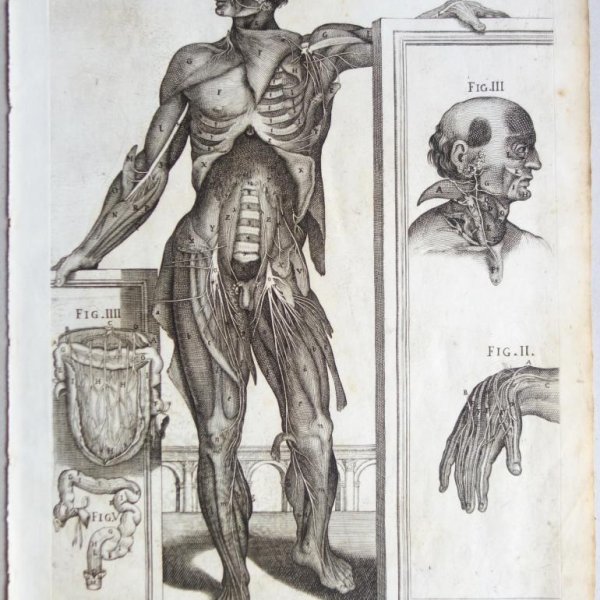 CORTONE Pierre de (d'après)