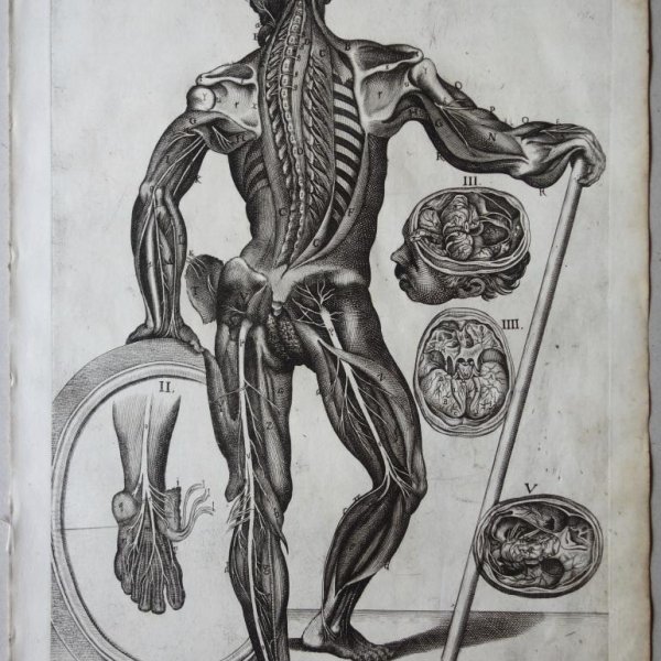 CORTONE Pierre de (d'après)