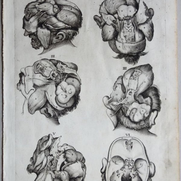 CORTONE Pierre de (d'après)