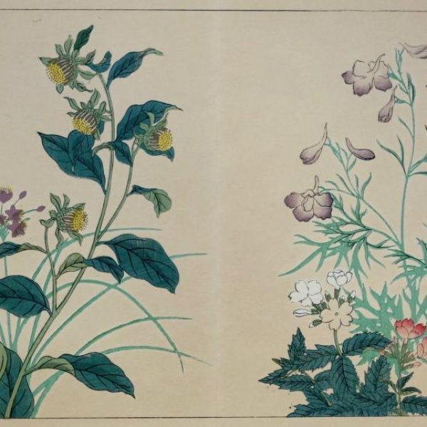 ECOLE JAPONAISE  XIXe XXe