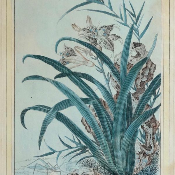 BUC'HOZ Pierre-Joseph