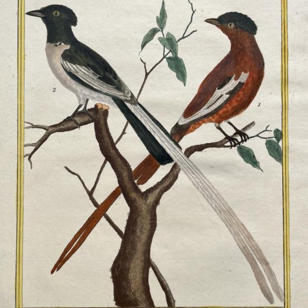 MARTINET François Nicolas