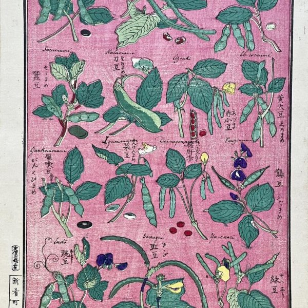 ECOLE JAPONAISE MEIJI