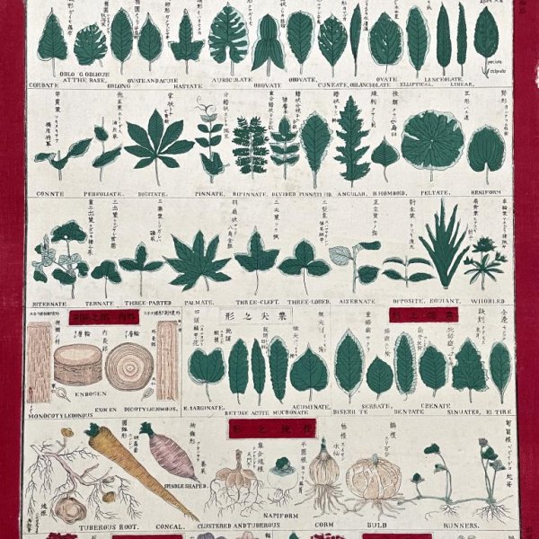 ECOLE JAPONAISE MEIJI