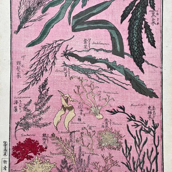 ECOLE JAPONAISE MEIJI