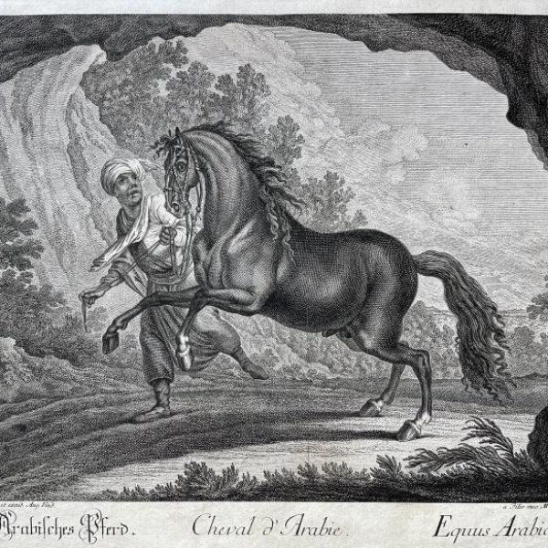 RIDINGER Martin Elias