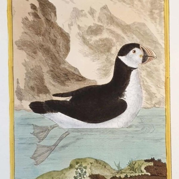 MARTINET, François Nicolas