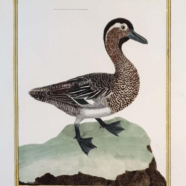 MARTINET, François Nicolas