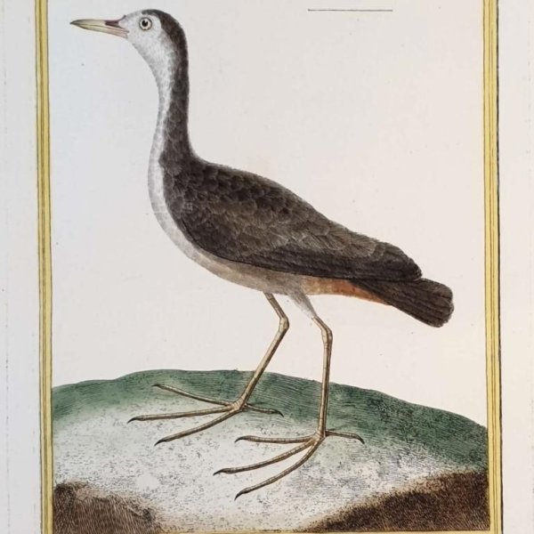 MARTINET, François Nicolas