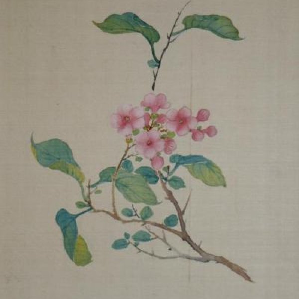 ECOLE CHINOISE DU XIXe SIECLE