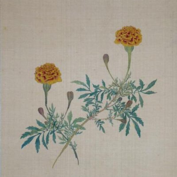 ECOLE CHINOISE DU XIXe SIECLE