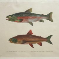 DEQUEVAUVILLER François