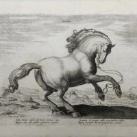 daprès VAN DER STRAET Jan