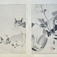 KAZAN Yokoyama (d'après)