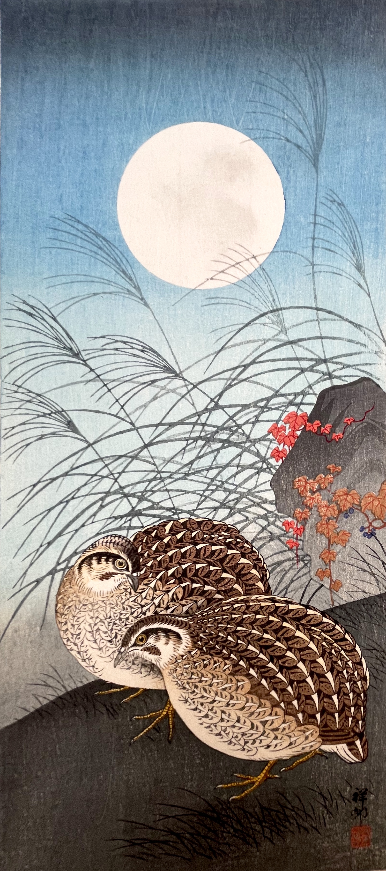 KOSON Ohara