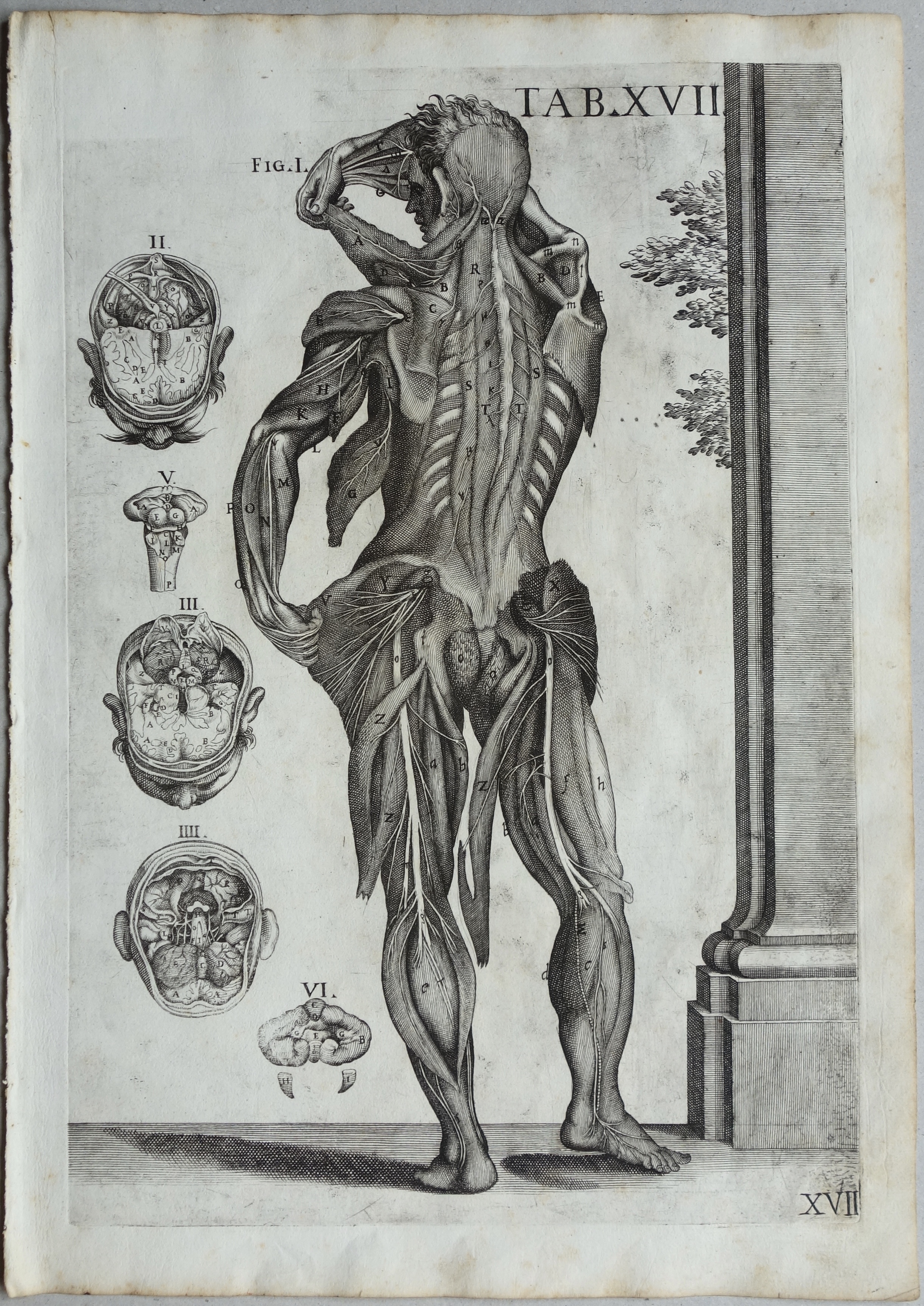 CORTONE Pierre de (d'après)