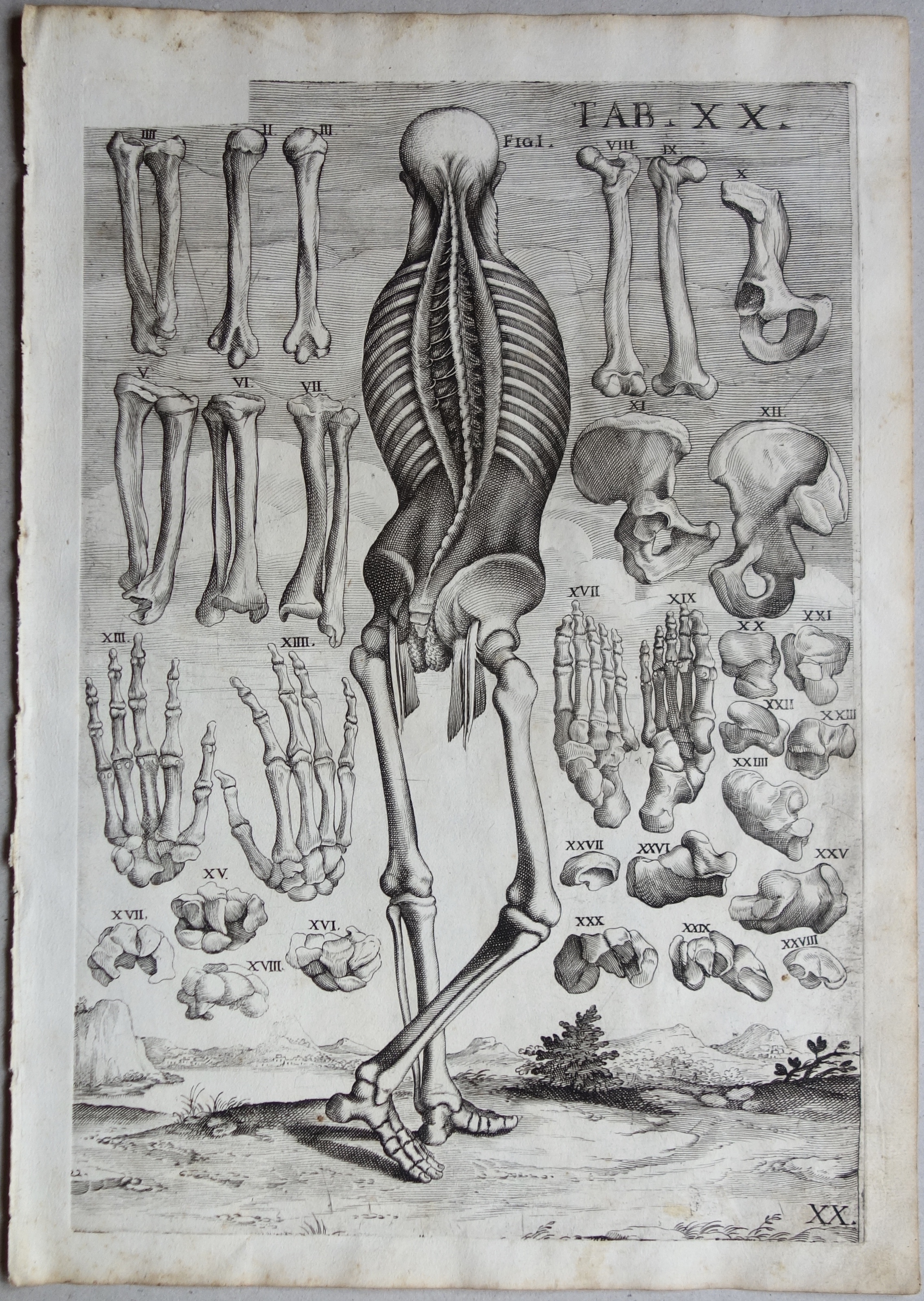 CORTONE Pierre de (d\'après)