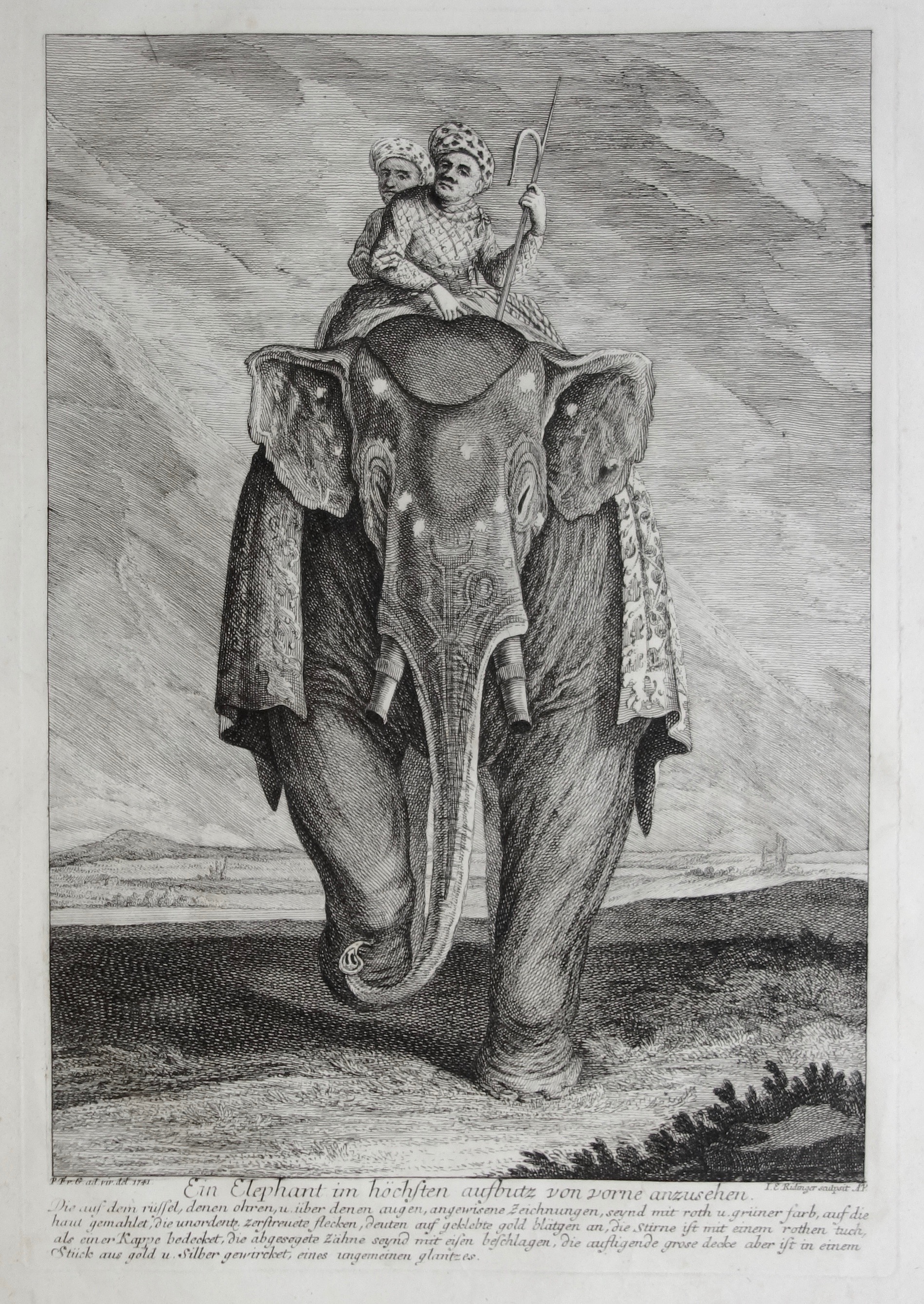 RIDINGER Martin Elias