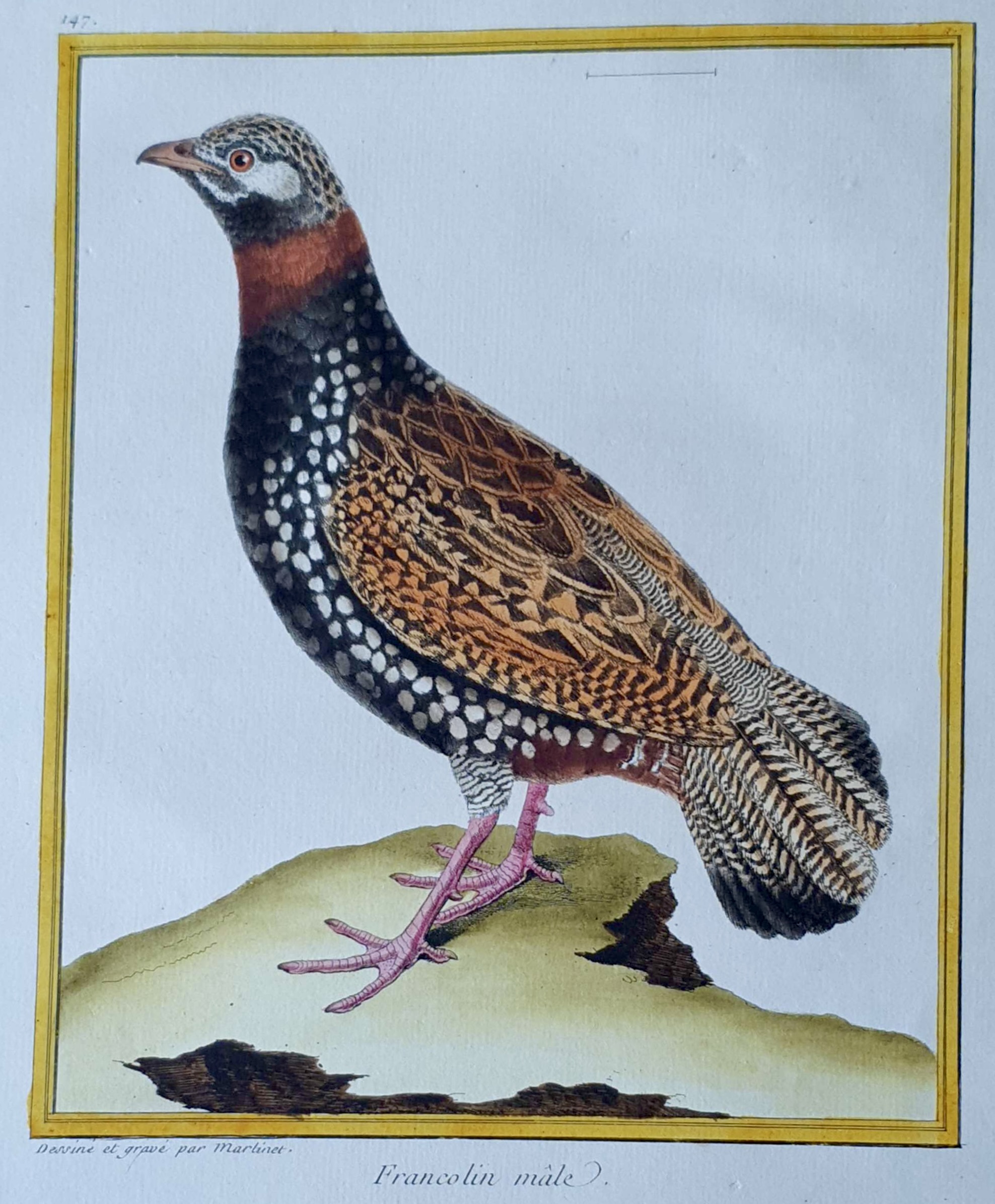 MARTINET, François Nicolas