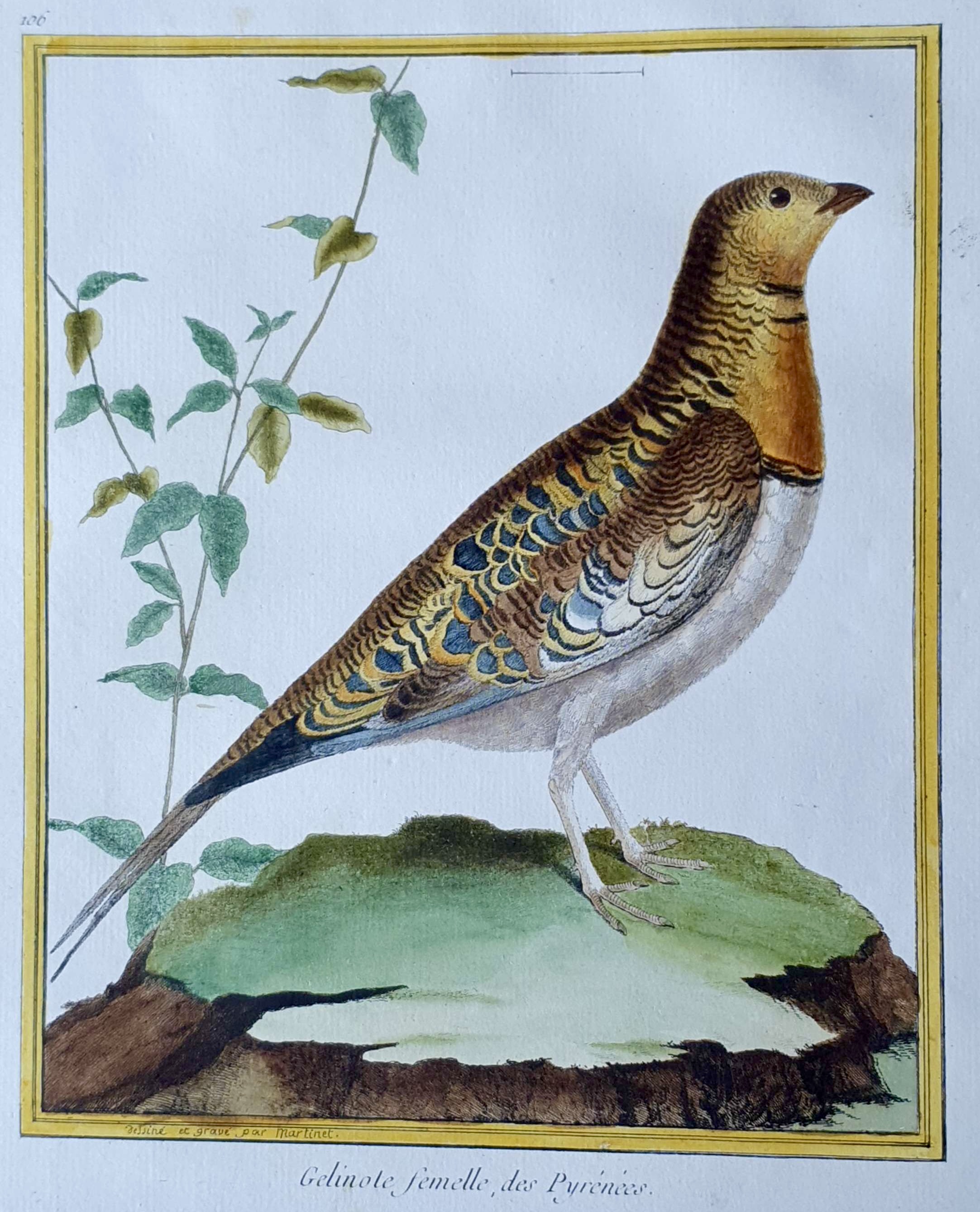 MARTINET, François Nicolas