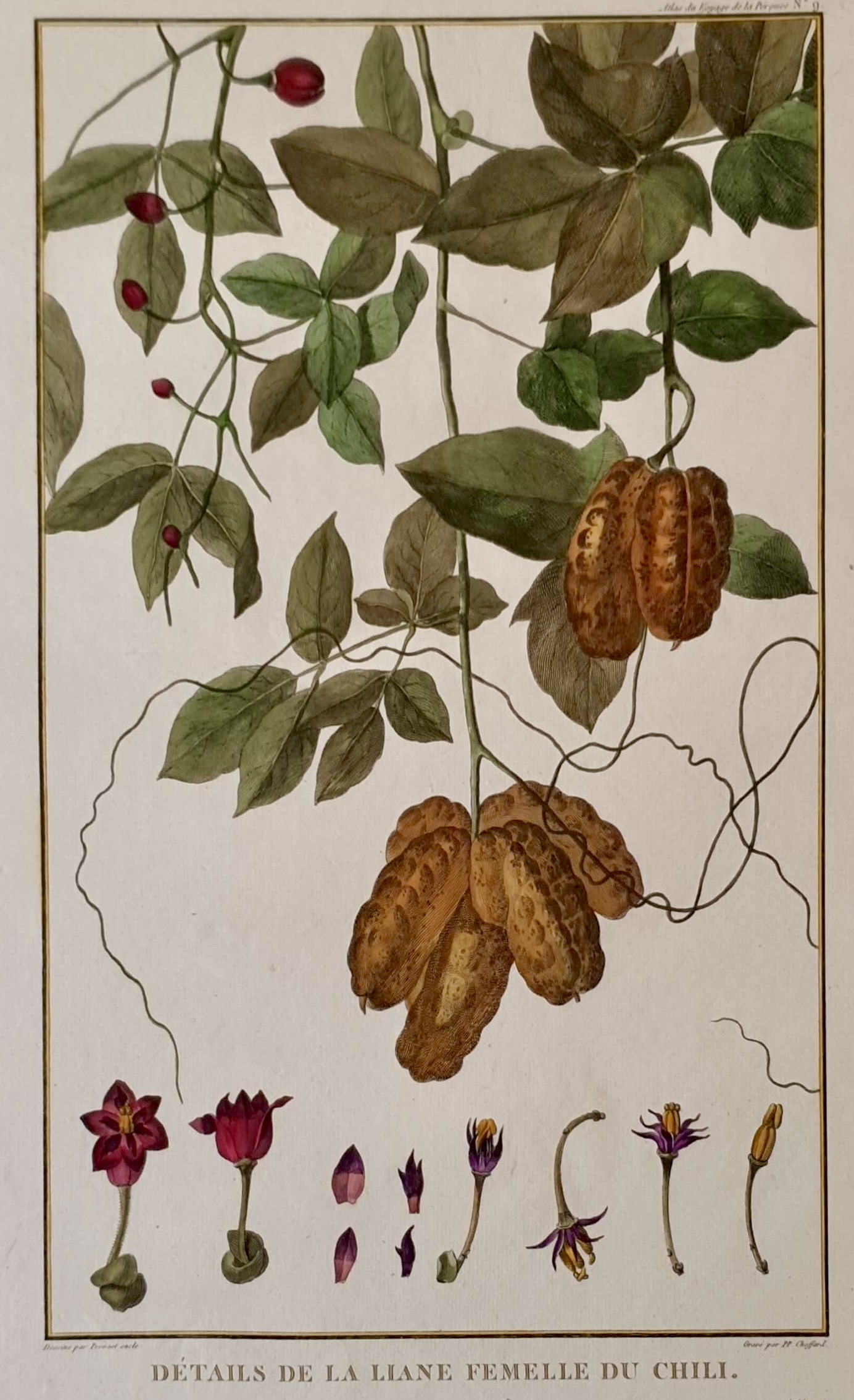 CHOFFARD Pierre-Philippe