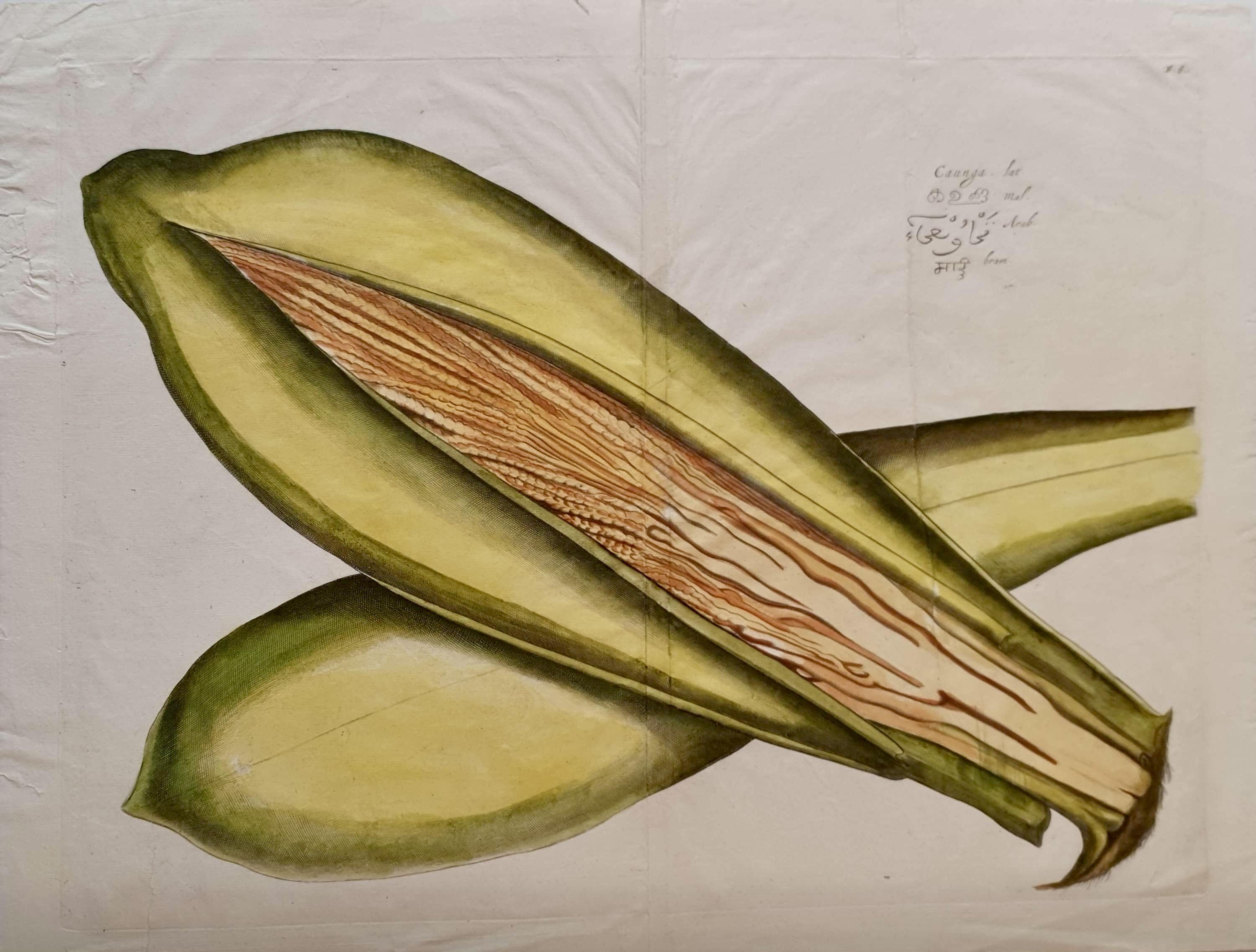 ECOLE DU NORD DU XVIIE