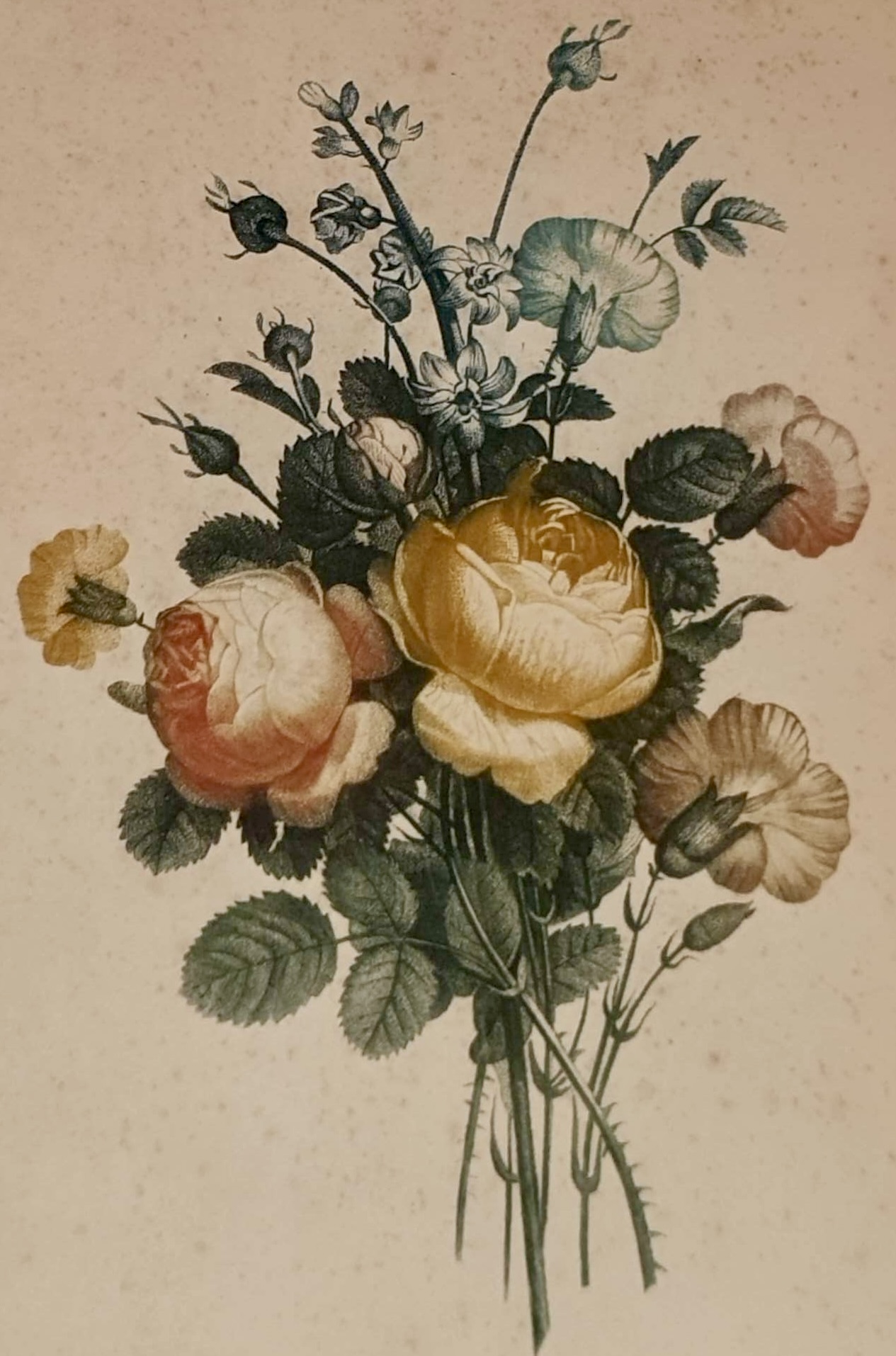 ECOLE FRANÇAISE XIXE