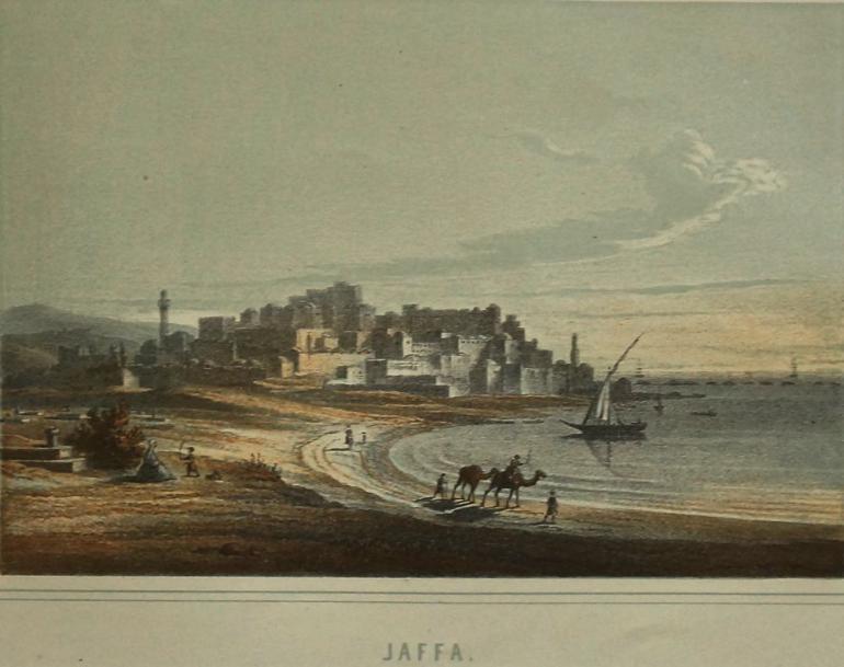 SKEINKOPF Jean-François, éditeur