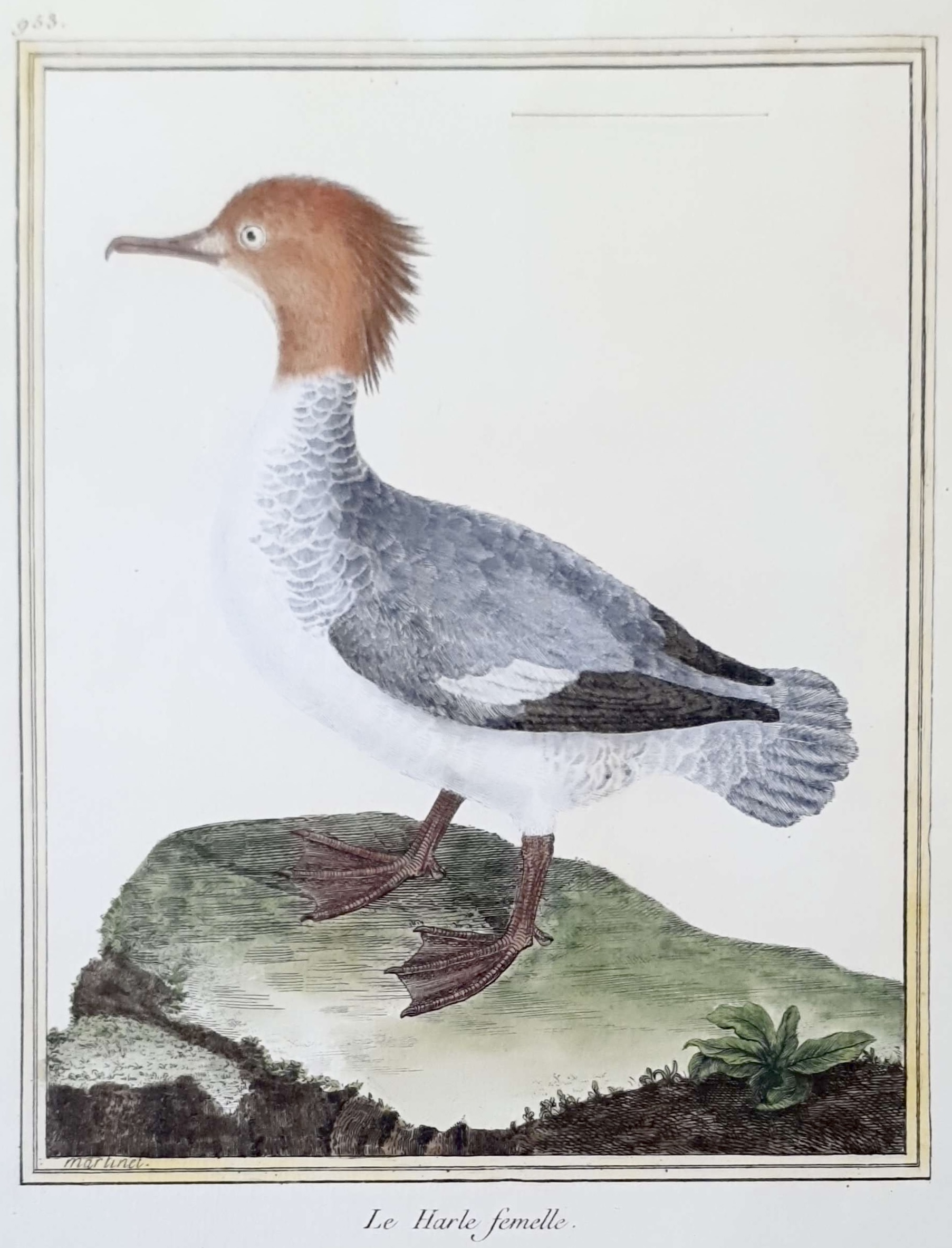 MARTINET, François Nicolas