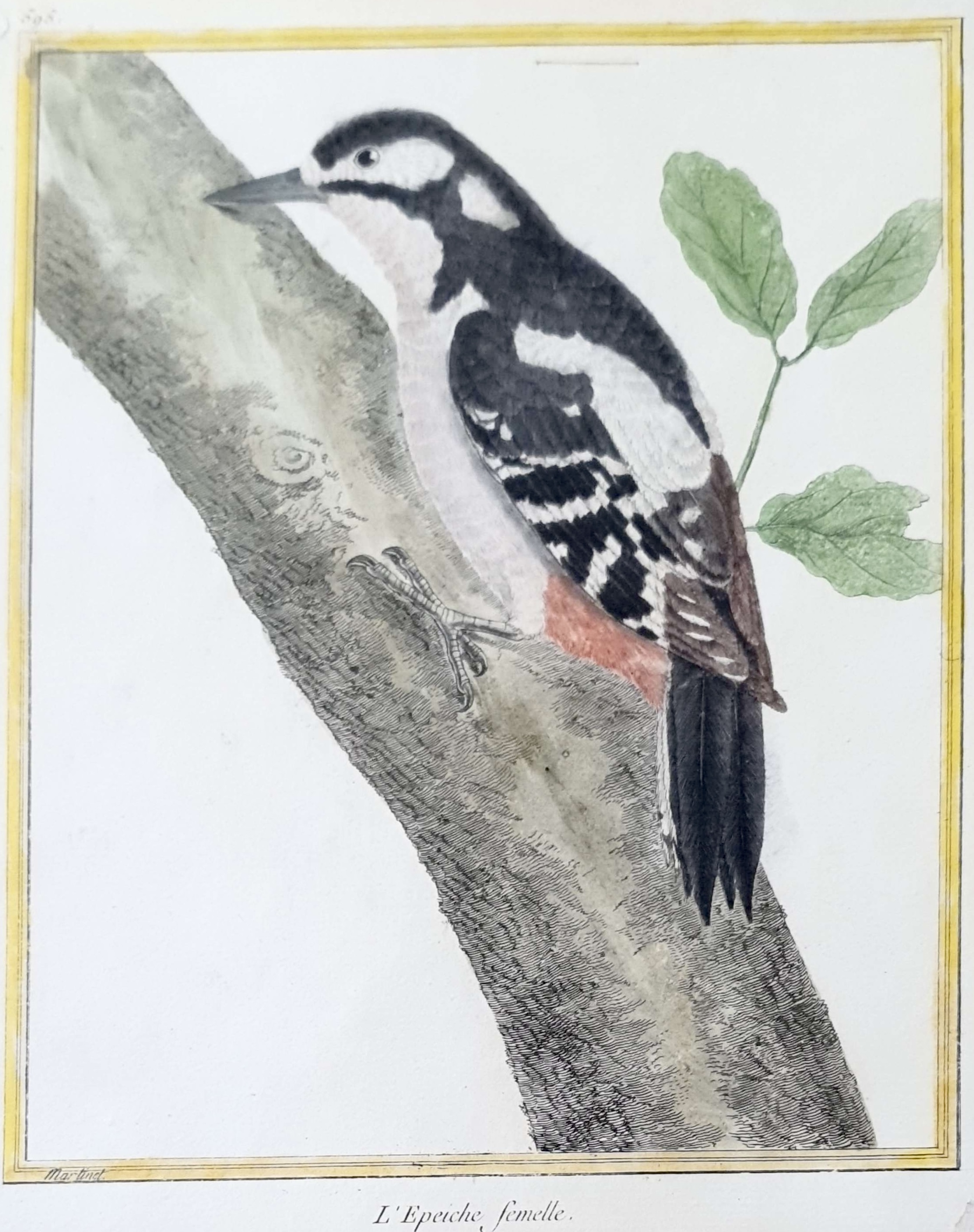 MARTINET, François Nicolas