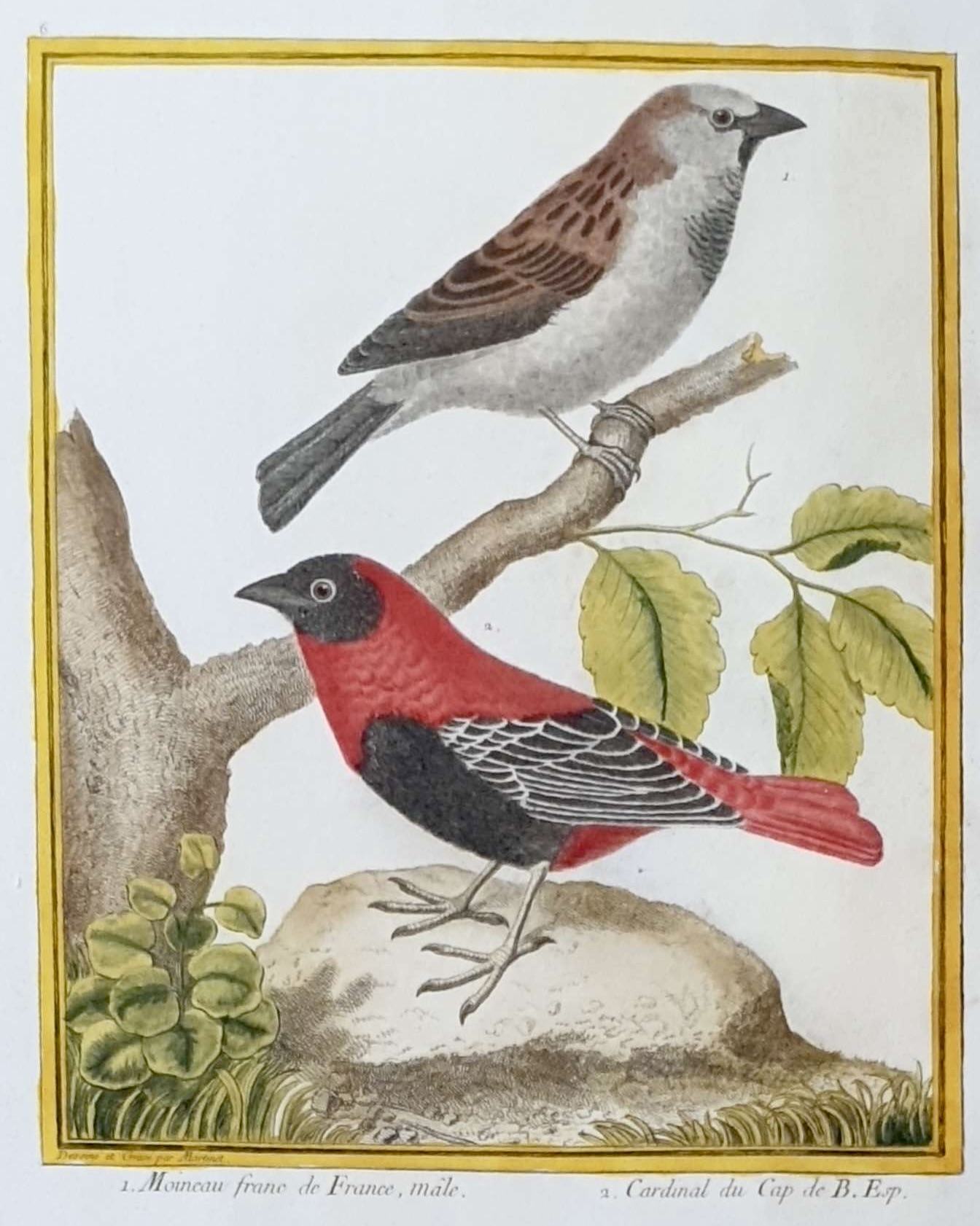 MARTINET, François Nicolas