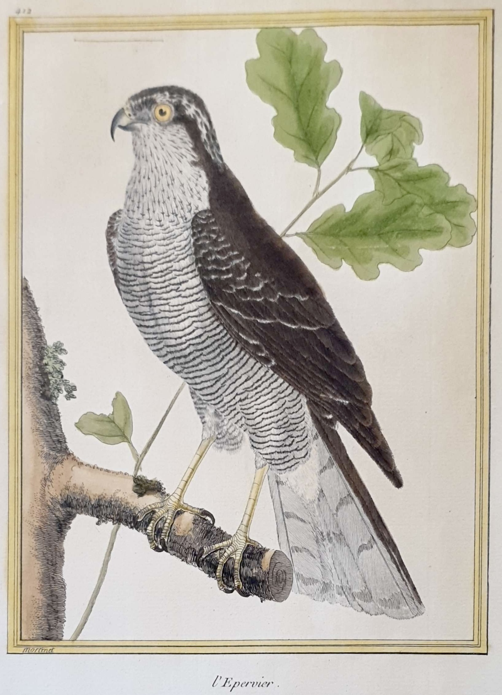 MARTINET, François Nicolas