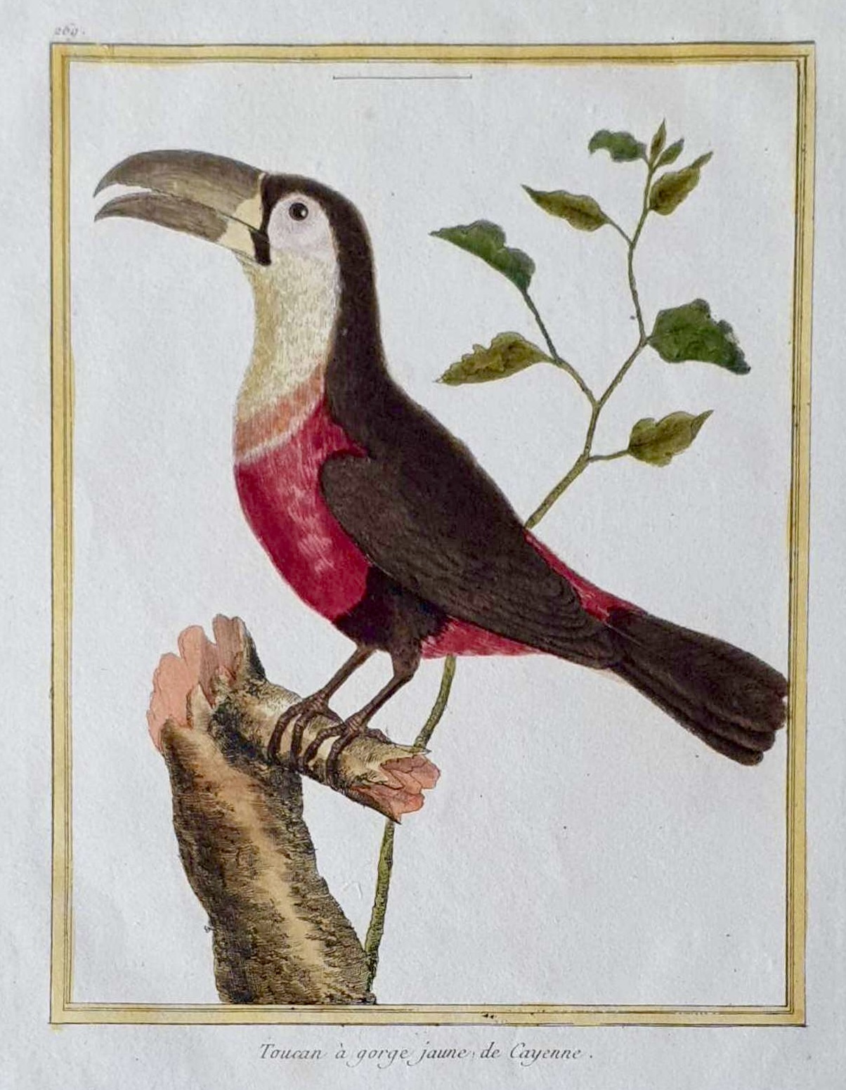 MARTINET François Nicolas