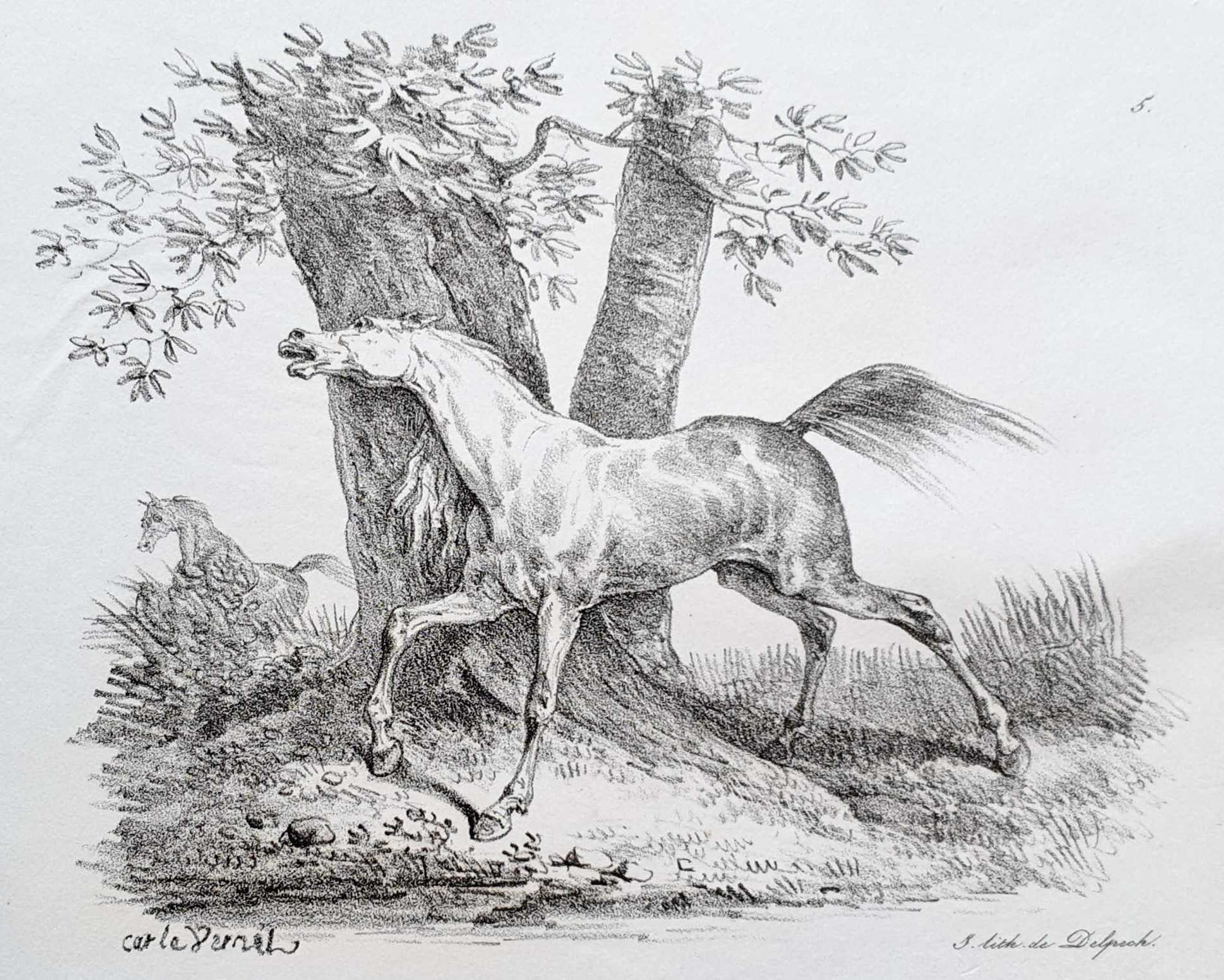 VERNET Carle