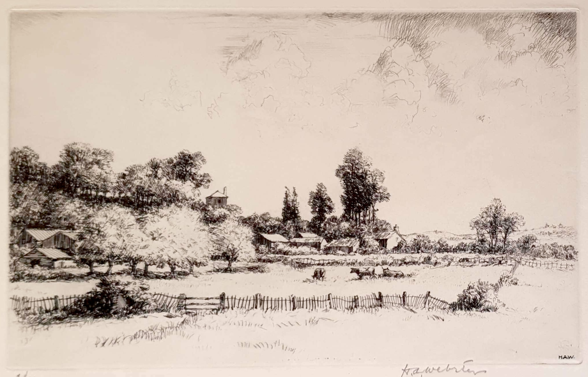 WEBSTER Herman Armour