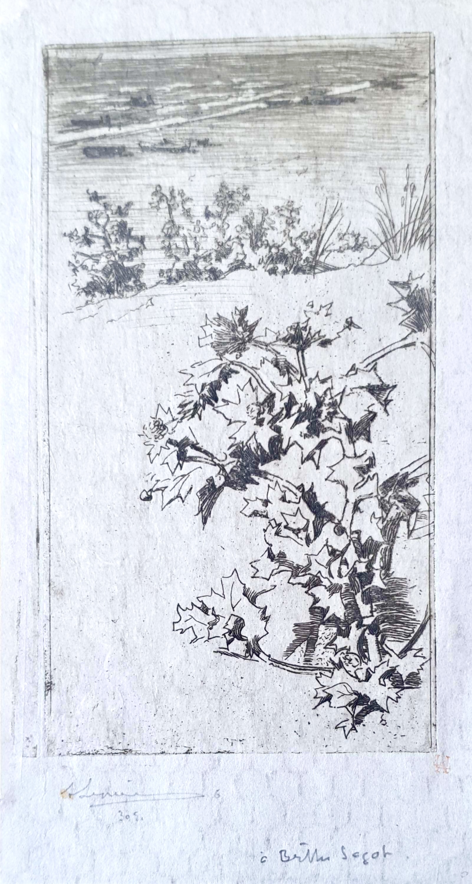 Vue 2