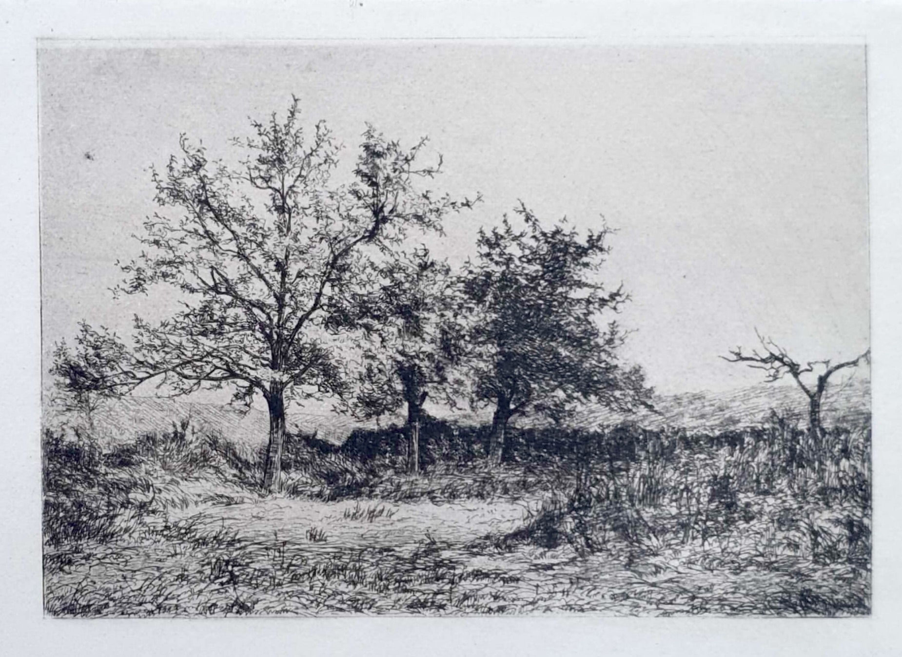 STENGELIN Alphonse
