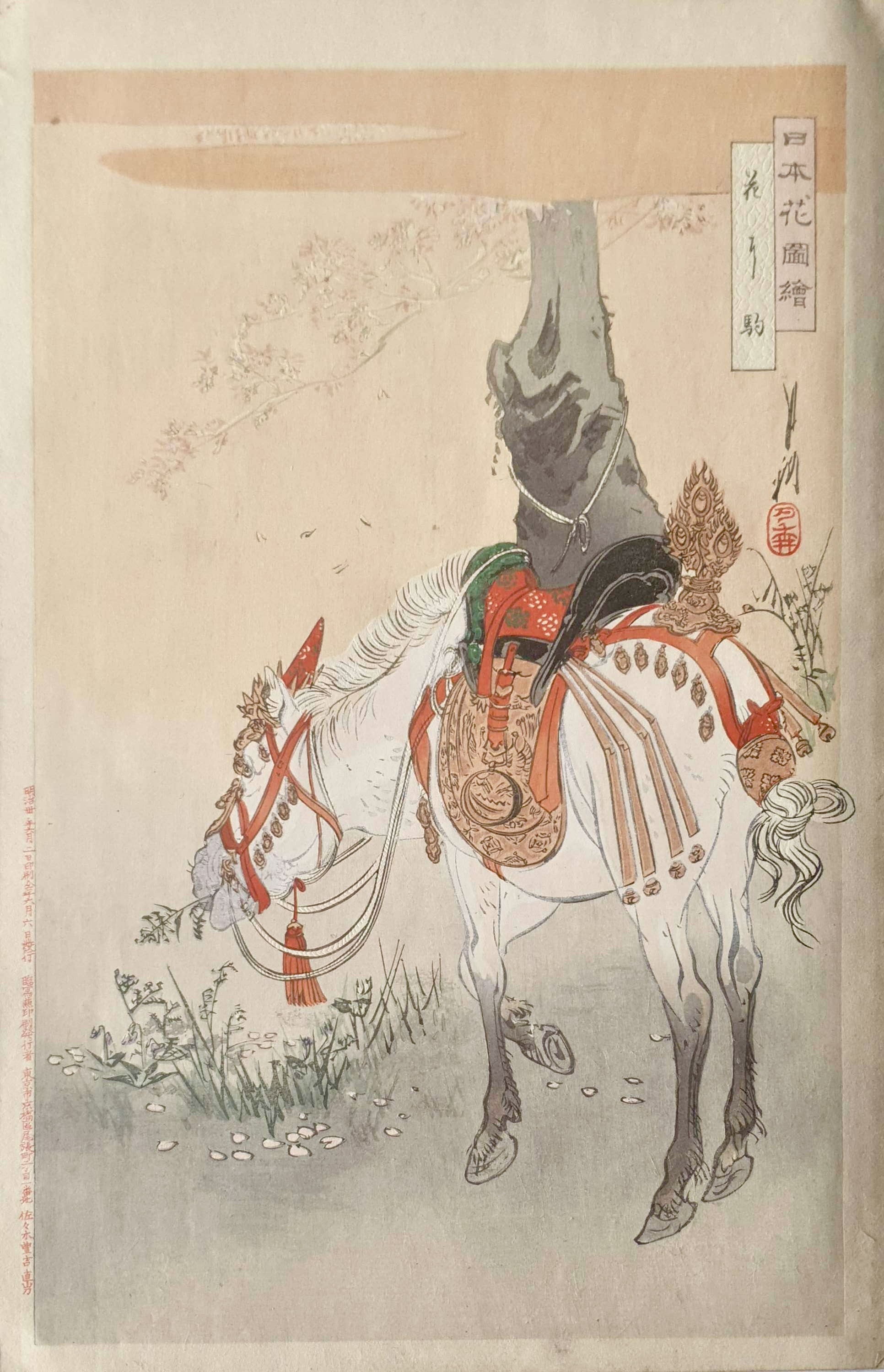 GEKKO Ogata